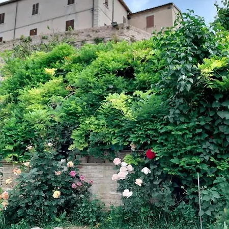 Corte Landriani Montefelcino