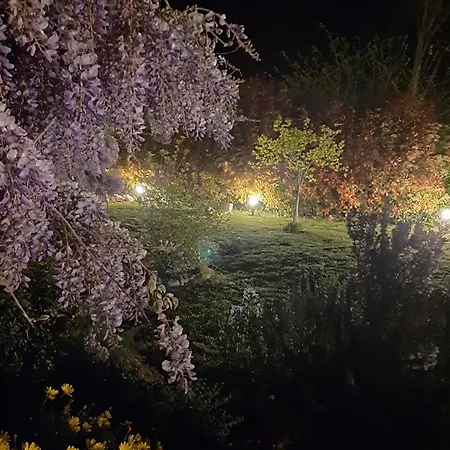 ベッド・アンド・ブレックファスト Corte Landriani Montefelcino